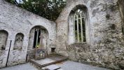 PICTURES/Killarney National Park - Torc Falls & Muckross Abbey/t_20250926_165326.jpg